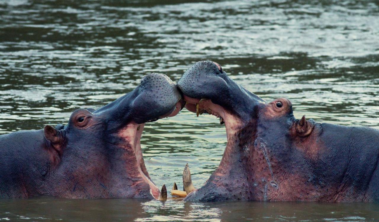 Ololo Safari Lodge Nairobi Zewnętrze zdjęcie