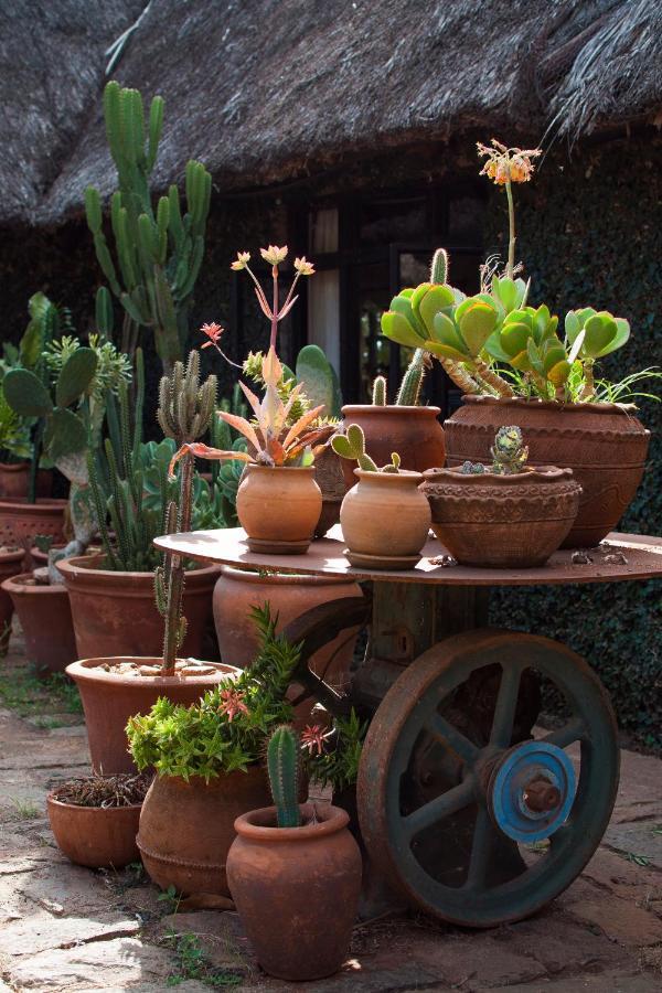 Ololo Safari Lodge Nairobi Zewnętrze zdjęcie
